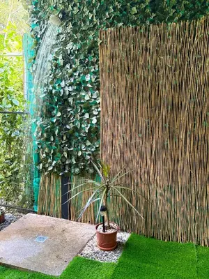a plant in front of a fence with a waterfall at House equipped with a Jacuzzi in Quepos in Quepos