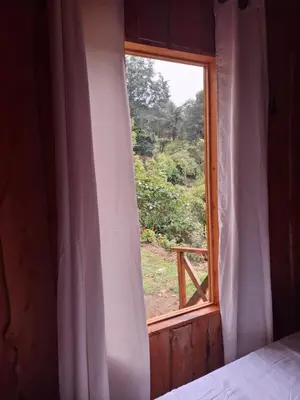 a bedroom with a window with a view of a forest at Cabaña Montaña Serena in El Copey