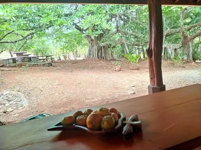 a bowl of fruit sitting on top of a table at Corozalito Turtle Lodge in Corozalito