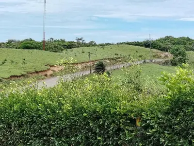 a road in the middle of a field at Casa Vacacional Brisas del Volcán Miravalles in Hacienda Guayabo