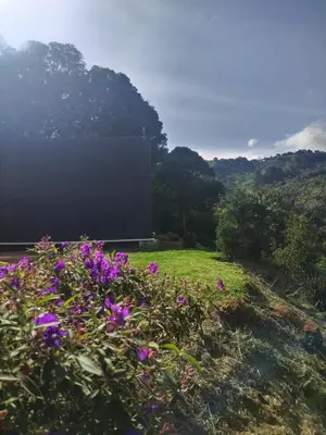 a field with purple flowers in front of a building at Mount & Wood in San Marcos