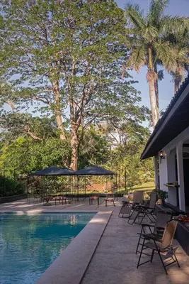 a swimming pool with chairs and umbrellas and palm trees at Green villa in La Asunción