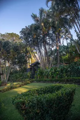a park with palm trees and a gazebo at Green villa in La Asunción