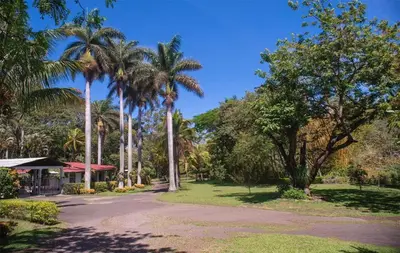 a park with palm trees and a building at Green villa in La Asunción