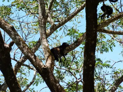 Gallery image of Primer Canto B&B - Near Ferry & Early Birdwatching Trails in Lepanto