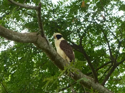 Gallery image of Primer Canto B&B - Near Ferry & Early Birdwatching Trails in Lepanto