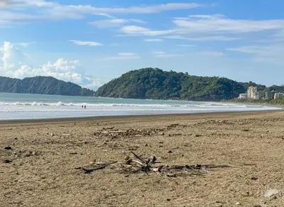 a beach with a bunch of branches on the sand at Apartamento Jaco Park,Jaco in Jacó