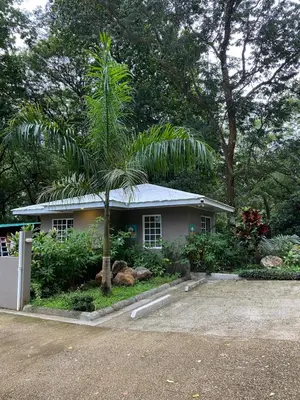 a small house with a palm tree in front of it at Apartamento Manzu in Santa Cruz