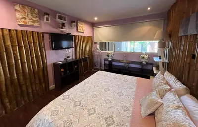 a bedroom with a large bed and a television at Oasis Lodge in La Asunción
