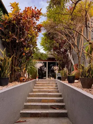 a set of stairs leading to a house with plants at Oasis Lodge in La Asunción