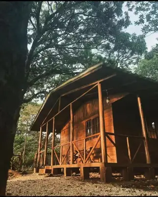 a wooden cabin with a tree in front of it at Cabaña Cóncavas in Marbella