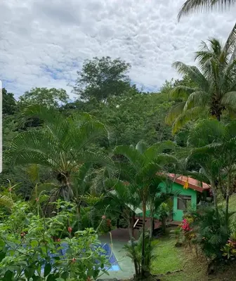 a house in the middle of a forest with palm trees at Cabañas Luz de Luna
