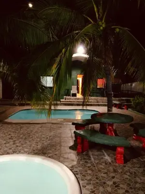 a swimming pool with a palm tree next to it at Casa para vacacionar Orotina in Orotina
