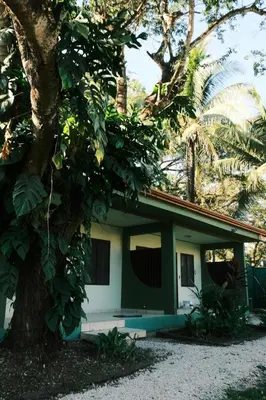 a house with a tree in front of it at La Buena Vida in Nicoya
