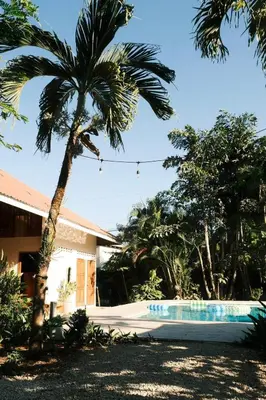 a palm tree next to a house with a swimming pool at La Buena Vida in Nicoya