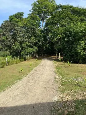 Gallery image of Cabañas Arenal in Fortuna