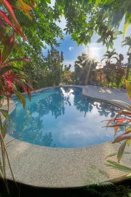 a swimming pool in the middle of a garden at Hotel Hot Springs Sueno Dorado in Fortuna