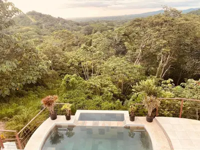 a swimming pool with a view of a forest at Jungle Paradise in Santa Cruz