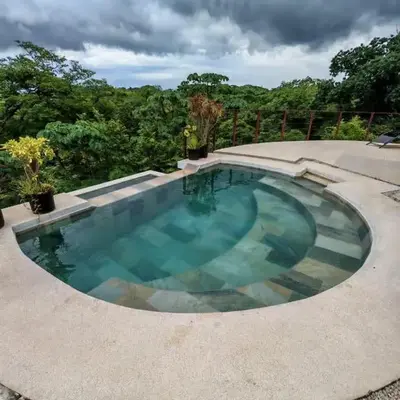Jungle Paradise