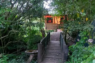 a wooden walkway leading to a house in a forest at Casa Monstera Monteverde in Cebadilla