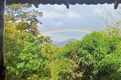 a rainbow in the sky over a forest of trees at Casa Monstera Monteverde in Cebadilla
