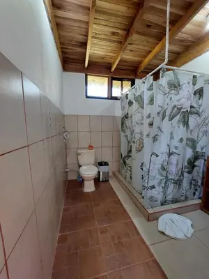 a bathroom with a toilet and a shower curtain at Casa Monstera Monteverde in Cebadilla