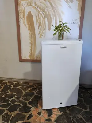 a white refrigerator with a plant on top of it at Bonito apartamento 103 frente a la piscina 100mt del mar in Playa Flamingo