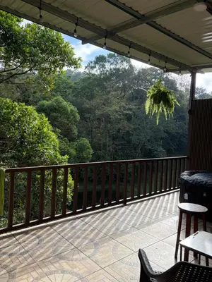 a balcony with a view of the forest at Cabaña BosKaL in Quesada