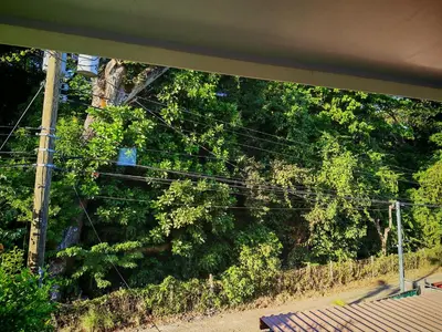 a group of power lines in front of a tree at Apartamento en la naturaleza a 35 min de la playa in Santa Cruz