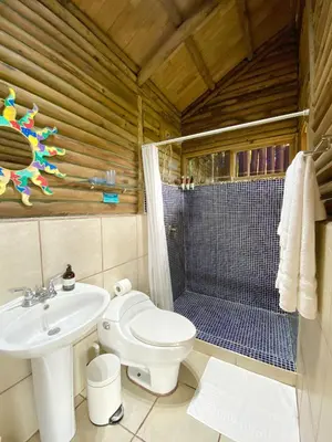a bathroom with a toilet and a shower and a sink at Horizon Hotel & Yoga Center in Santa Teresa Beach