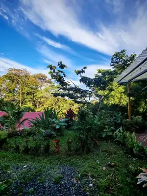 a garden with plants and trees in the background at Mystic Solarium Private Indoor Pool in Chachagua