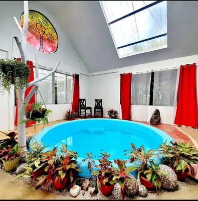 a large indoor pool with plants in a room at Mystic Solarium Private Indoor Pool in Chachagua