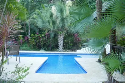 a swimming pool in a garden with palm trees at Casa de la Diversidad - La Casita - Ojochal in Ojochal