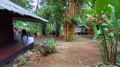 a garden with a bench and some trees and plants at Wooden Cabin with deck Over Creek, walk to beach in Dominicalito