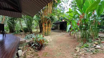 a garden with a wooden bench and some plants at Wooden Cabin with deck Over Creek, walk to beach in Dominicalito