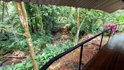 a view of a garden with trees and plants at Wooden Cabin with deck Over Creek, walk to beach in Dominicalito