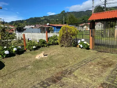 a cat laying on the grass in a yard at Poasito Room in Fraijanes