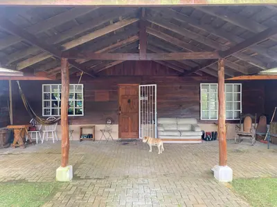 a dog standing in the middle of a pavilion at Poasito Room in Fraijanes