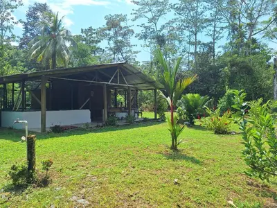 a house with a palm tree in the yard at Cabaña Brisas del río in Savegre