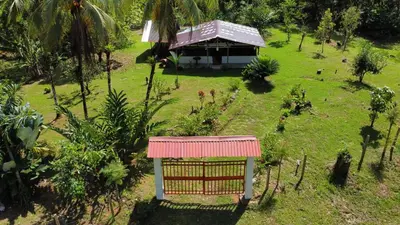 a small house with a red roof in a garden at Cabaña Brisas del río in Savegre