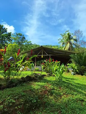 a house with a roof on top of a green field at Cabaña Brisas del río in Savegre