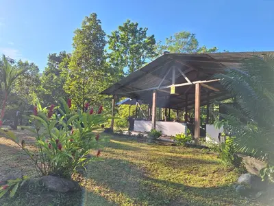 a pavilion in a garden with trees in the background at Cabaña Brisas del río in Savegre
