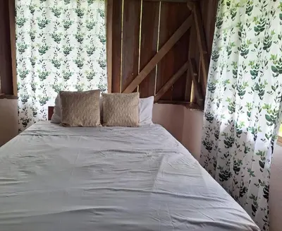 a bed with two pillows in front of a window at Cabaña Brisas del río in Savegre