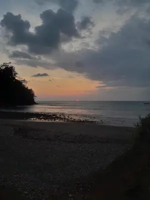 a sunset over the ocean with birds on the beach at Small blue house in Quepos