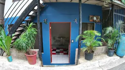 a blue building with potted plants in front of it at Small blue house in Quepos