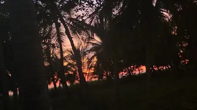 a sunset with palm trees in the foreground at WAVESCRhouse1 in Parrita