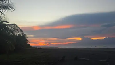 a sunset on a beach with palm trees and the ocean at WAVESCRhouse1 in Parrita