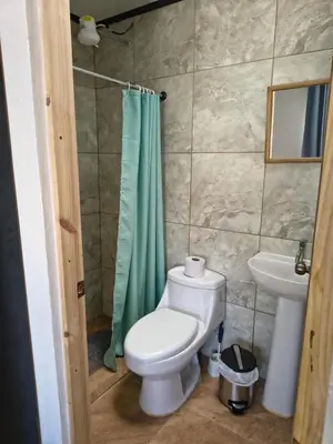 a bathroom with a toilet and a green shower curtain at Vilma Friendly Guesthouse - RC in San José