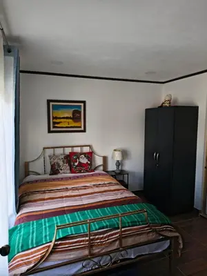 a bedroom with a bed and a black cabinet at Vilma Friendly Guesthouse - RC in San José