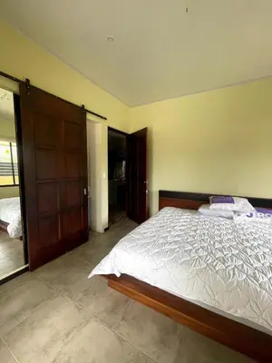 a bedroom with a large bed and a closet at Casa Blue in Brasilito